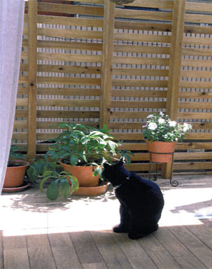 �e���X2��