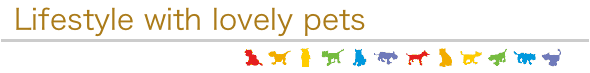 Lifestyle with lovely pets