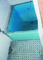 ���t�H�[���{�H�O-�g�C���E����