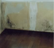 ���t�H�[���{�H�O-��