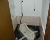 ���t�H�[���{�H��-��������