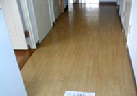 ���t�H�[���{�H��|�L��